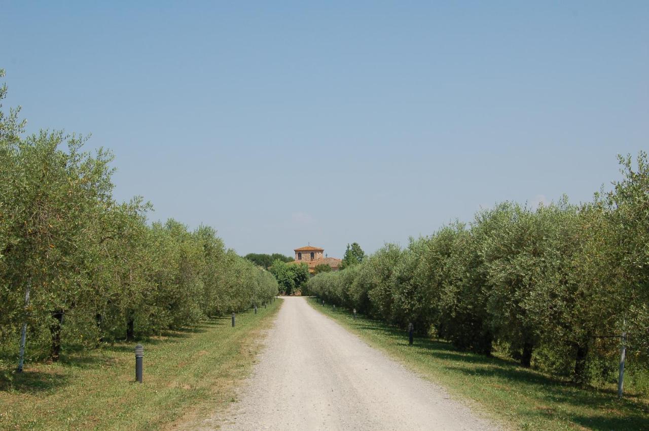 Agriturismo Il Selvino Terricciola Zewnętrze zdjęcie