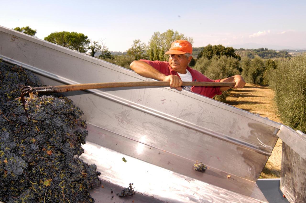 Agriturismo Il Selvino Terricciola Zewnętrze zdjęcie