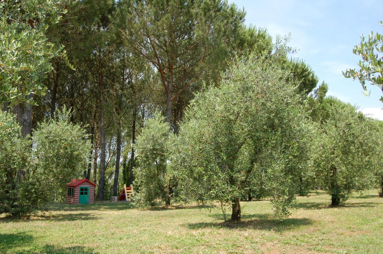 Agriturismo Il Selvino Terricciola Zewnętrze zdjęcie