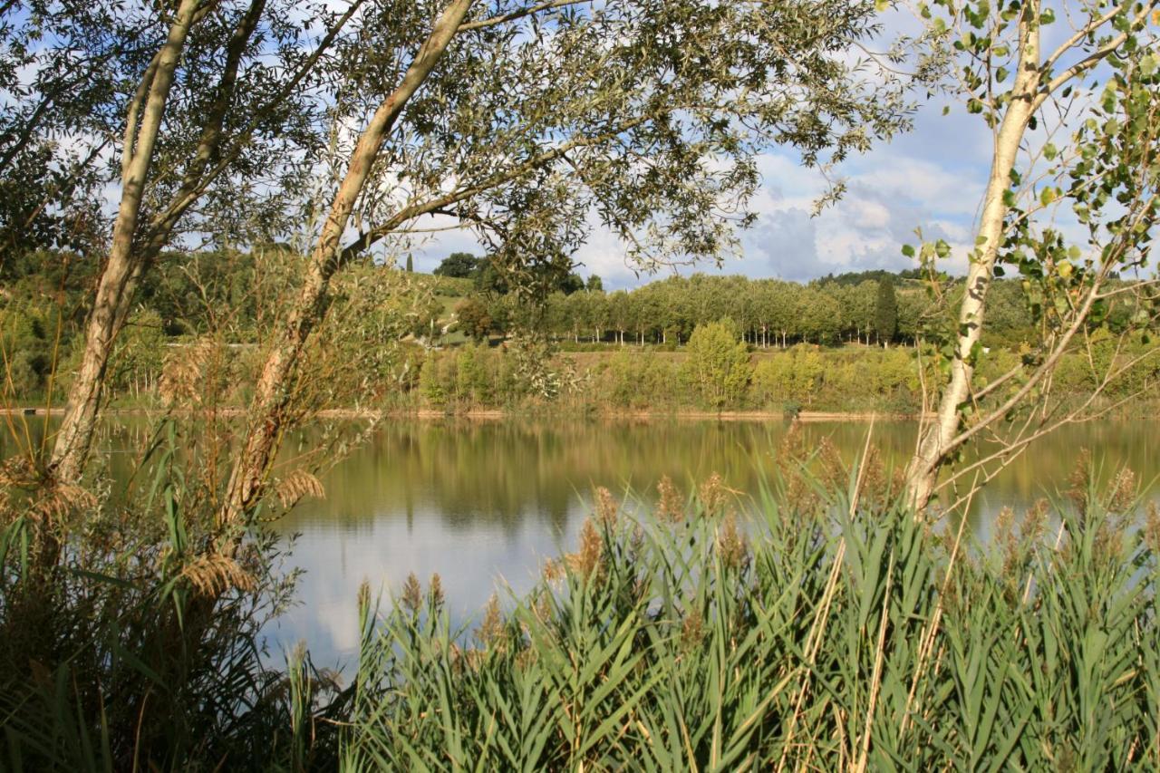 Agriturismo Il Selvino Terricciola Zewnętrze zdjęcie